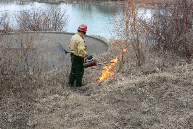 Norris lagoon burning